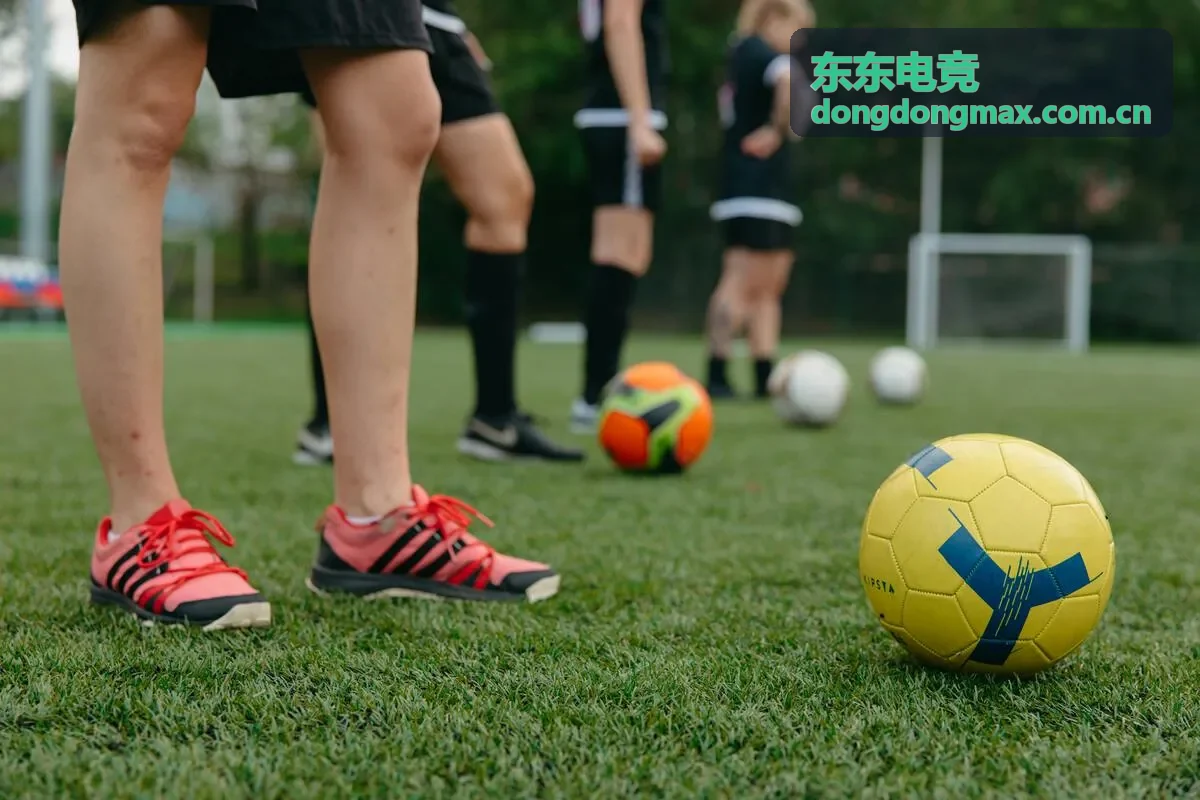 东东电竞案例